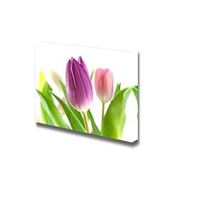 Canvas Prints Wall Art - Purple Tulip with Blurred Tulips in The Background | Modern Wall Decor/Home Decoration Stretched Gallery Canvas Wrap Giclee Print. Ready to Hang - 12" x 18"