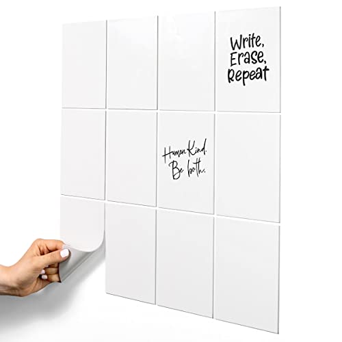 Dry Erase Reusable Sticky Notes 4x6 12Pack 2Year ReStickable