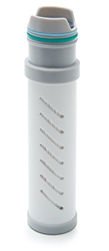 LifeStraw LSPYSPRF 2 Stage Filter Replacement for Play Water