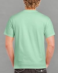 Gildan Men's G2000 Ultra Cotton Adult T-shirt, Mint