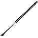 ECCPP Lift Support Liftgate Replacement Struts Gas Springs Fit For Jeep Grand for Cherokee 1999-2004 Set of 2
