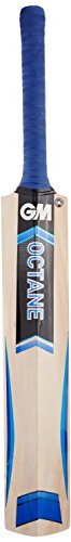Gm octane f2 select kashmir willow cricket bat, short h…