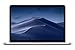 Apple MacBook Pro 13in Core i5 2.7GHz (MF840LL/A), 16GB Memory, 512GB Solid State Drive (Renewed)