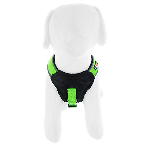 Pawtitas Pet Training Soft Adjustable Reflective Padded Puppy / Dog Harness Extra Small Green