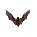 Real Taxidermy Bat | Lesser Bamboo Bat Specimen