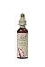 Bach Original Flower Remedies, Larch - Have Confidence - Natural Homeopathic Flower Essence for Emotional Balance - Vegan, Gluten Free, Sugar Free - 20mL Dropper