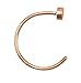 Forbidden Body Jewelry Nose Ring Hoop, 22G (8mm), Surgical Steel, Rose Gold Tone