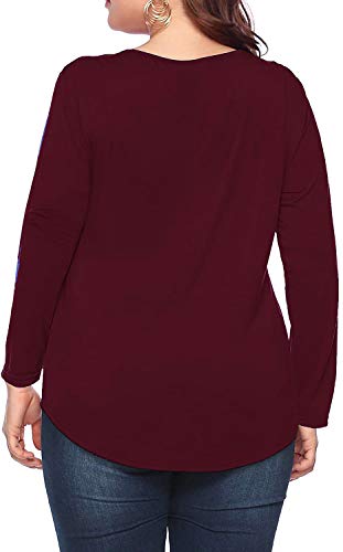 caidyny Womens Plus-Size V-Neck Tops, Causal Long Sleeve Soild Color Tunic Shirts(Dark Brown, 4XL)