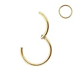FANSING Nose Rings 20 Gauge Nose Ring Hoop Earrings Gold Nose Hoop 20g Cartilage Earring Septum Ring Septum Clicker Lip Rings Helix Earring Rook Earrings Nose Piercing Jewelry Septum Jewelry