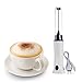 Rechargeable Eggbeater Handheld Stainless Milk Frother Foamer Blender Coffee Mixer with Charging Cable