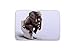 Dodou 3D Rugs Bath Mat Bath Rugs Anti-Slip Bath Mats Bathroom Mat Soft Bathmat Bathroom Carpet for Baby Kids Safety with Memory Foam Coral Velvet Fabric 15.7