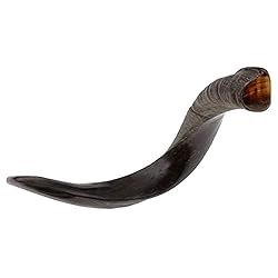 Natural Kosher half Polished Yemenite Shofar Kudu