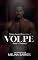 Livro VOLPE: Amor e Vingança (Amores Ilícitos Livro 1)
