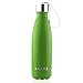 MAKI Vacuum Insulated Stainless Steel Water Bottle - 36 Hours Cold! Carry Strap Cap - 17 Ounce (Grass Green, 17oz)