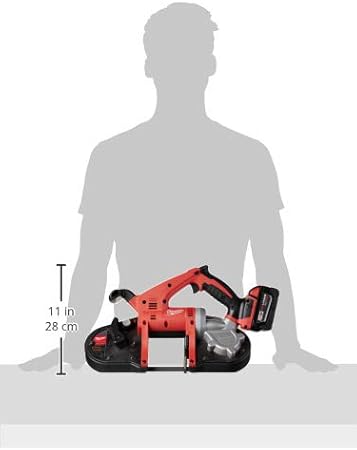 https://images-na.ssl-images-amazon.com/images/I/315I9P-kY7L._AC_SY450_.jpg