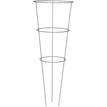 Panacea 89723 Tomato and Plant Support Cage, Galvanized, Set of 10
