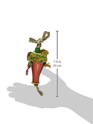 Planet Pleasures Snow Cone Bird Toy, Small