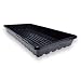 Bootstrap Farmer 1020 Trays - Extra Strength No Holes, 5 Pack, for Propagation Seed Starter, Plant Germination, Seedling Flat, Fodder, Microgreens primary
