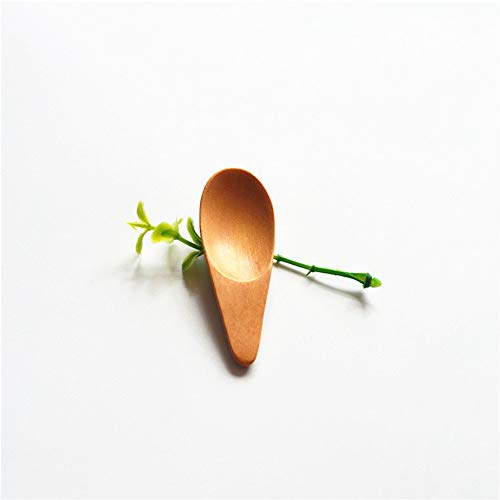 3 NUOMI+Wooden+Scooper+Handle+Natural