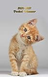 2020-2021 Pocket Planner: Cute Little Kitten Two-Year Monthly Pocket Planner with Phone Book, Passwo by Nifty Pocket Planners