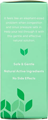 HYLAND’S KIDS STUFFY NOSE AND SINUS TABLETS, COLD MEDICINE FOR CHILDREN AGES 2 AND UP, HEADACHE RELIEF AND NASAL DECONGESTANT, QUICK DISSOLVING TABLETS, 50 COUNT