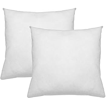 Amazon.com: Digital Decor Premium Hypoallergenic Pillow ...