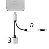 2in1 Lightning Adapter for iPhone,MINIMALISM Lightning Charger and 3.5mm Earphone Cable Adapter [No Music Control] for iPhone 7/7 Plus/6s/6/5s/5 -Silver