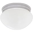 Designers Fountain 9 in 2-Light Flush Mount Ceiling Light with Frosted Glass Shade, White, 4732-WH