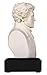 President Andrew Jackson Historical Bust - Great Americans Collection