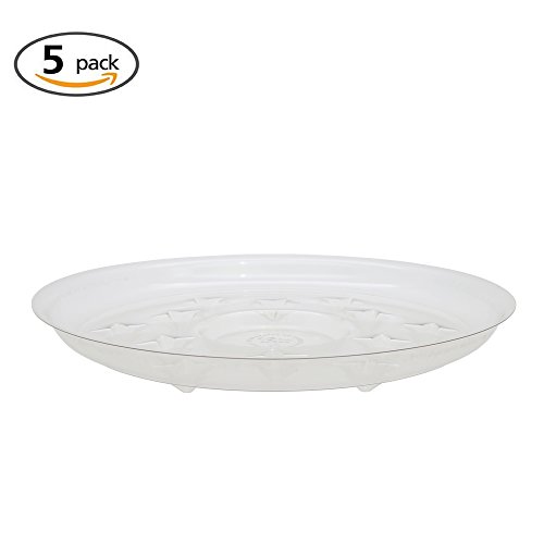 Top 10 Best Planter Liners Plastic Clear Top Reviews No Place