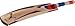 Puma English Willow Cricket Bat Pulse 3000 Full Size Light Weight Parallel Grains