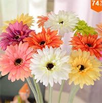 High Quality 99pcs Fresh Artificial Gerbera Flower Seeds Chrysanthemum Daisy Gerbera Seeds Daisy See