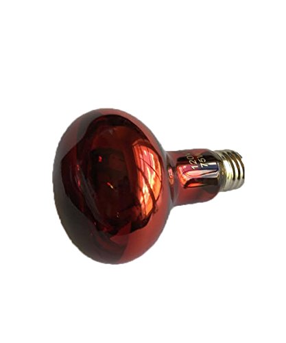 Blue Spotted NightView Wild-Red Heat Lamp Ideal As A 24 Hour Heat Source for Your Pet Reptiles and Amphibians! (75 Watt)