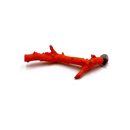 Borange Parrot Perches Bird Natural Woood Stand Quartz Sands Hardwood Branches Perch for Small and Medium Birds Parakeet Conure Cockatiel Budgie Pack of 2 (6" Length) - Thumbnail 5