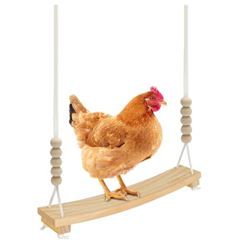 Qinfly Arc-Shaped Chicken Swing