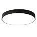 LuFun LED Flush Mount Ceiling Light,24W 12-Inch Modern Ceiling lamp, Round Ceiling Lighting for for Closets, Kitchens, Stairwells, Basements, Bedrooms, Washrooms (Black,Cool White Light 6000K)