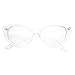 MLC EYEWEAR Cat Eye Fashion Sunglasses in Clear