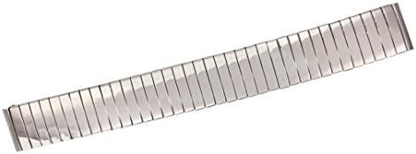 Citime Silver Stainless Steel Band Replacement, Shiny Finish, Expansion Band, 18mm Strap _ S18006