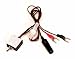 XP3 Hornet V-120 Motorcycle Wiring Harness (No Repeller)