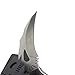 MASALONG Dragon Dracarys Series Fixed Blade Karambits Claw Knife with K Sheath