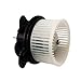 TYC 700095 Jeep Replacement Blower Assembly