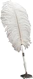 Darice 35451-01 Feather Pen with Holder, White (Kitchen)