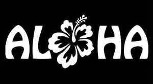 Chase Grace Studio Aloha Hawaii Hawaiian Hibiscus Flower Vinyl Decal Sticker|WHITE|Cars Trucks Vans SUV Boats Laptops Wall Art|7.5