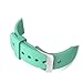 Lakvom Silicone Sport Style Watch Band for Samsung Gear S2 - Mint Green