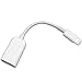 White USB A 2.0 Female to Lightening B Male On-The-Go Adapter Data Cable(OTG) + Free KarenDeals Microfiber Cleaning Cloth