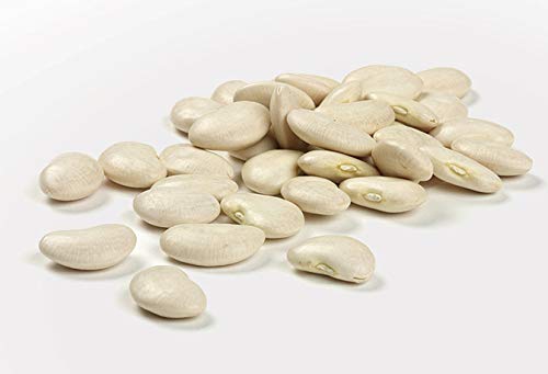 Camellia Large Dry Lima Beans 1 Pound Bag