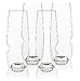 govino Go Anywhere Champagne Flute, 8-oz, Pack of 4.