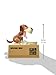 OliaDesign Cute Dog Money Box Coin Bank