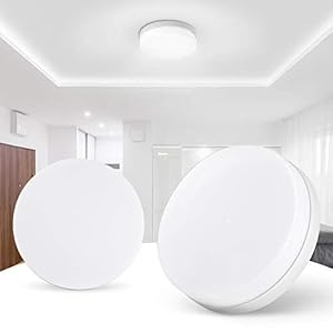 Badkamerlamp 18 W 1440 lm 6500 K koel wit Φ15,5 * 4,3 cm plafondlamp met inbouw LED voor slaapkamer, badkamer, keuken…