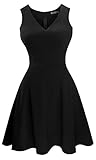 Heloise Women's A-Line Sleeveless V-Neck Pleated Little Cocktail Party Dress
